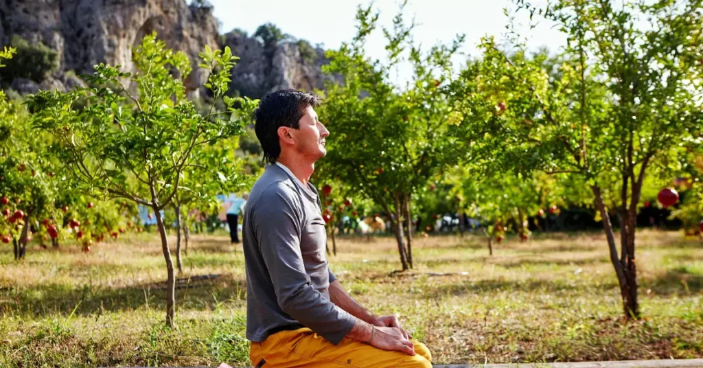 Unlock Tranquility: Dive Into Your Meditative Garden In 2024 4 Man Sitting In A Meditative Garden