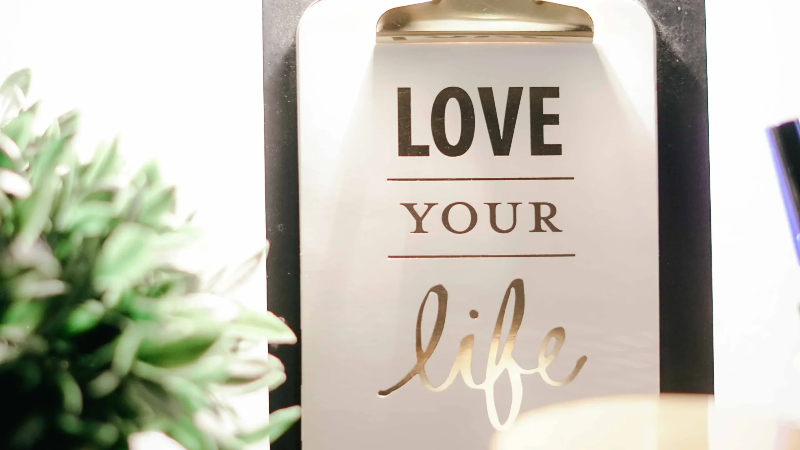 3 Self Love Meditation Scripts to Enhance Self-Acceptance 6 Self Love Meditation Scripts Quote